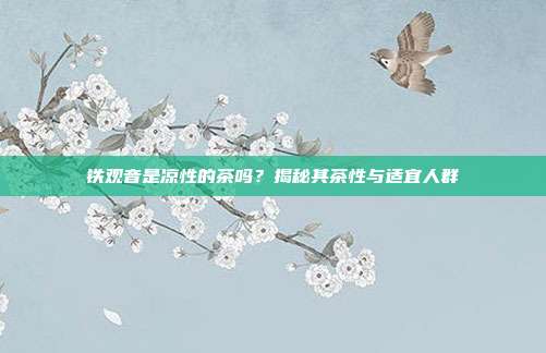 铁观音是凉性的茶吗？揭秘其茶性与适宜人群