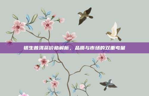 银生普洱茶价格解析，品质与市场的双重考量