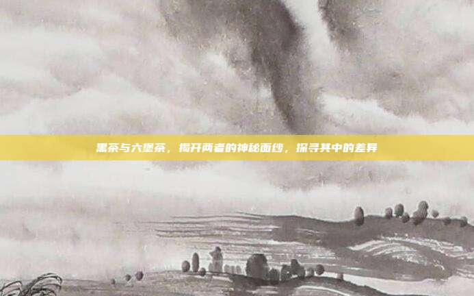 黑茶与六堡茶，揭开两者的神秘面纱，探寻其中的差异