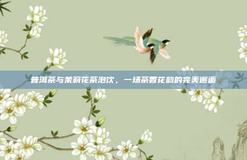 普洱茶与茉莉花茶泡饮，一场茶香花韵的完美邂逅