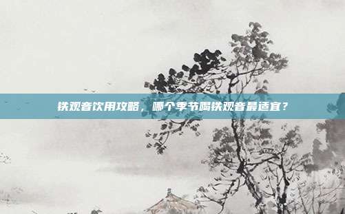 铁观音饮用攻略，哪个季节喝铁观音最适宜？