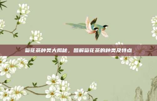 菊花茶种类大揭秘，图解菊花茶的种类及特点