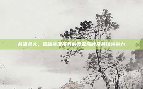 普洱老大，揭秘普洱茶界的领军品牌及其独特魅力