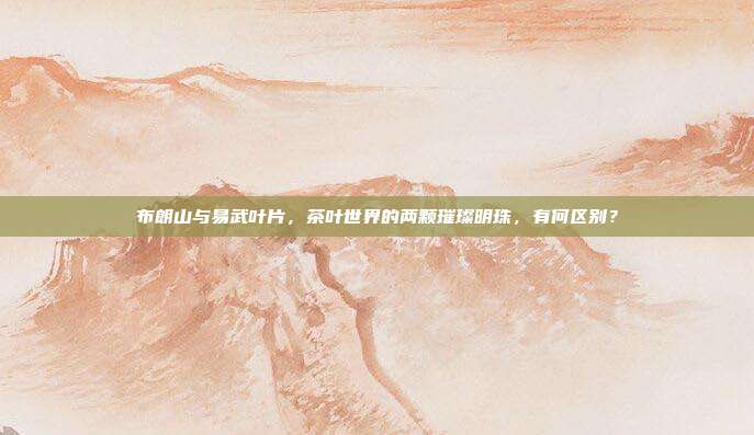 布朗山与易武叶片，茶叶世界的两颗璀璨明珠，有何区别？