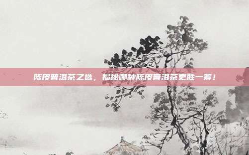 陈皮普洱茶之选，揭秘哪种陈皮普洱茶更胜一筹！