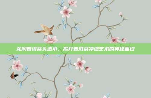龙润普洱茶头道水，揭开普洱茶冲泡艺术的神秘面纱