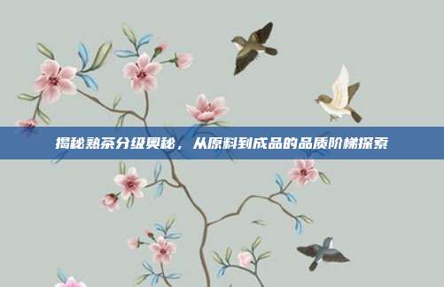 揭秘熟茶分级奥秘，从原料到成品的品质阶梯探索
