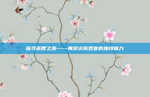 探寻茶香之源——黄旗尖铁观音的独特魅力