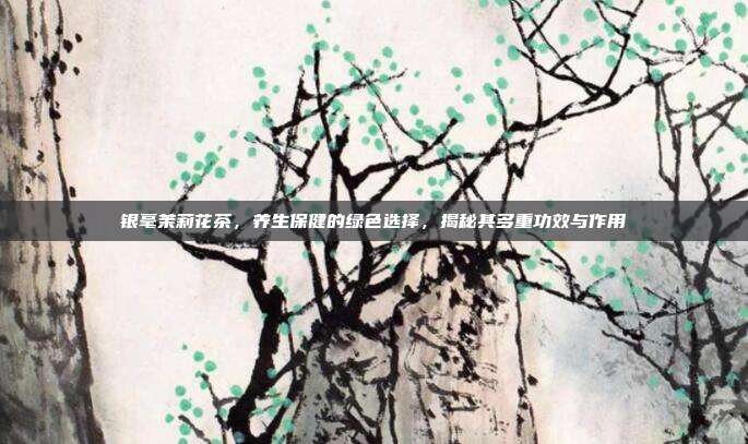 银毫茉莉花茶，养生保健的绿色选择，揭秘其多重功效与作用