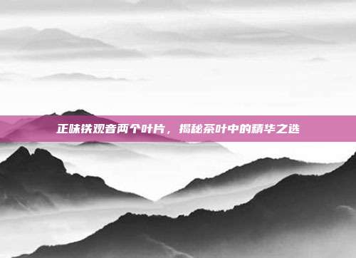 正味铁观音两个叶片，揭秘茶叶中的精华之选