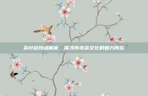 茶叶店特点解析，探寻传统茶文化的魅力所在