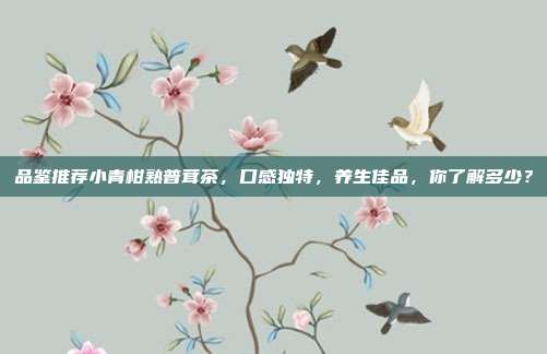 品鉴推荐小青柑熟普茸茶，口感独特，养生佳品，你了解多少？