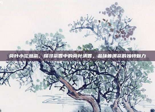 荷叶小沱熟茶，探寻茶香中的荷叶清香，品味普洱茶的独特魅力