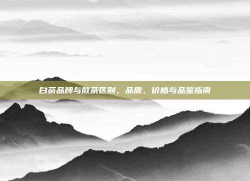 白茶品牌与散茶区别，品质、价格与品鉴指南