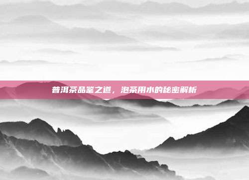 普洱茶品鉴之道，泡茶用水的秘密解析