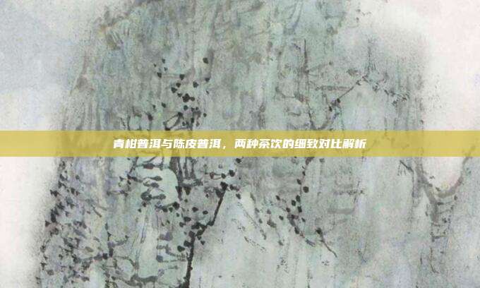 青柑普洱与陈皮普洱，两种茶饮的细致对比解析