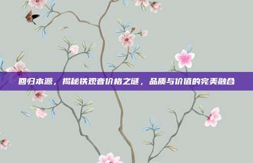回归本源，揭秘铁观音价格之谜，品质与价值的完美融合