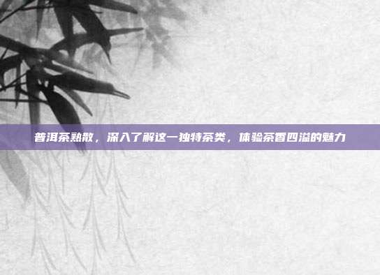 普洱茶熟散，深入了解这一独特茶类，体验茶香四溢的魅力