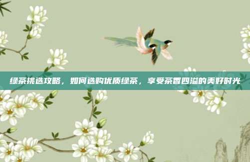 绿茶挑选攻略，如何选购优质绿茶，享受茶香四溢的美好时光