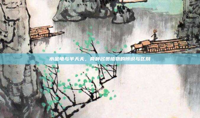 水金龟与半天夭，两种名贵植物的辨识与区别