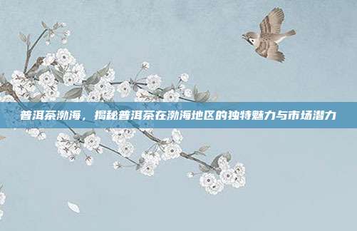 普洱茶渤海，揭秘普洱茶在渤海地区的独特魅力与市场潜力