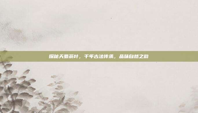 探秘天蜀茶叶，千年古法传承，品味自然之韵