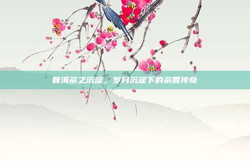 普洱茶之沉淀，岁月沉淀下的茶香传奇
