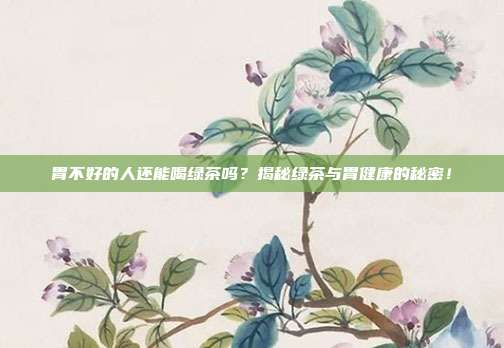 胃不好的人还能喝绿茶吗？揭秘绿茶与胃健康的秘密！