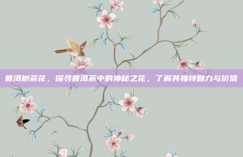 普洱树茶花，探寻普洱茶中的神秘之花，了解其独特魅力与价值