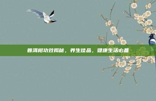 普洱柑功效揭秘，养生佳品，健康生活必备