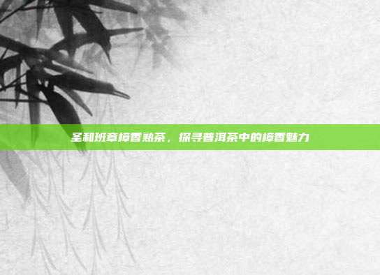 圣和班章樟香熟茶，探寻普洱茶中的樟香魅力