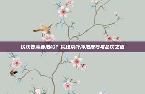铁观音需要泡吗？揭秘茶叶冲泡技巧与品饮之道