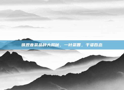 铁观音茶品种大揭秘，一叶茶香，千姿百态