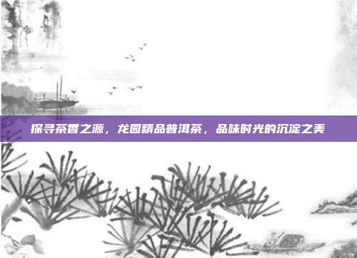 探寻茶香之源，龙园精品普洱茶，品味时光的沉淀之美