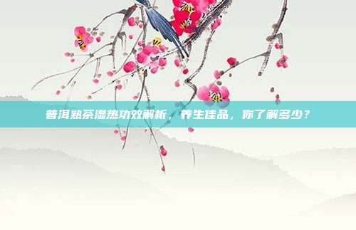 普洱熟茶湿热功效解析，养生佳品，你了解多少？
