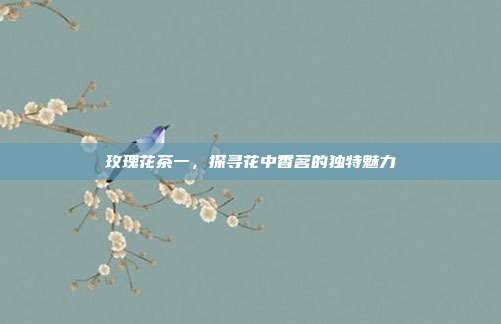 玫瑰花茶一，探寻花中香茗的独特魅力