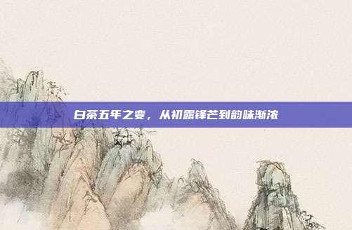 白茶五年之变，从初露锋芒到韵味渐浓