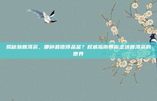 揭秘熟普洱茶，哪种最值得品鉴？权威指南带你走进普洱茶的世界
