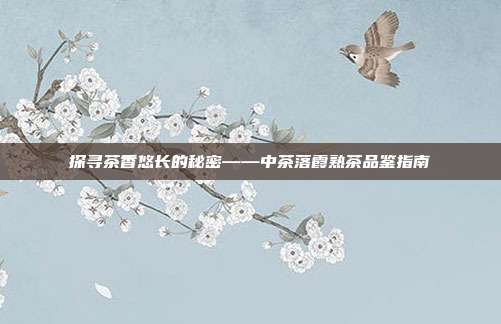 探寻茶香悠长的秘密——中茶落霞熟茶品鉴指南