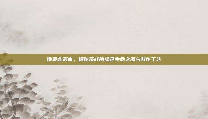 铁观音茶青，揭秘茶叶的绿色生命之源与制作工艺