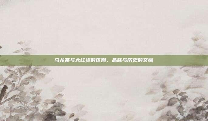 乌龙茶与大红袍的区别，品味与历史的交融