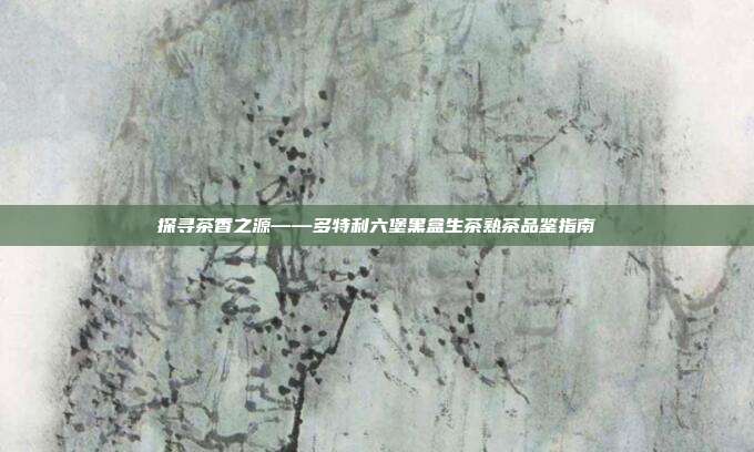 探寻茶香之源——多特利六堡黑盒生茶熟茶品鉴指南