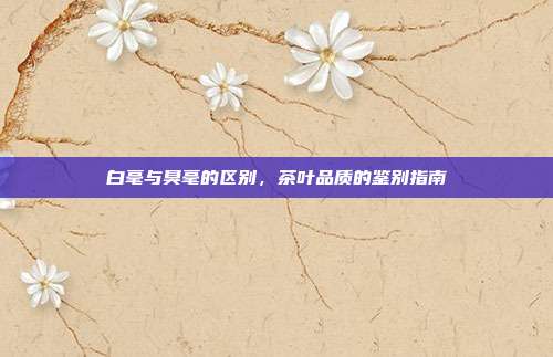 白毫与臭毫的区别，茶叶品质的鉴别指南