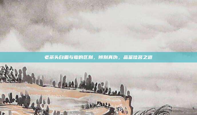 老茶头白霜与霉的区别，辨别真伪，品鉴佳茗之道