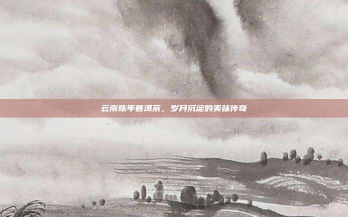 云南陈年普洱茶，岁月沉淀的美味传奇