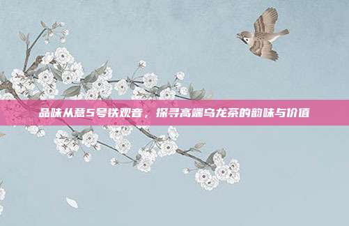 品味从意5号铁观音，探寻高端乌龙茶的韵味与价值