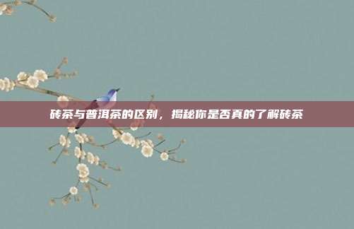 砖茶与普洱茶的区别，揭秘你是否真的了解砖茶