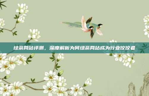 绿茶网站评测，深度解析为何绿茶网站成为行业佼佼者