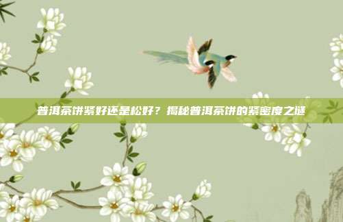 普洱茶饼紧好还是松好？揭秘普洱茶饼的紧密度之谜
