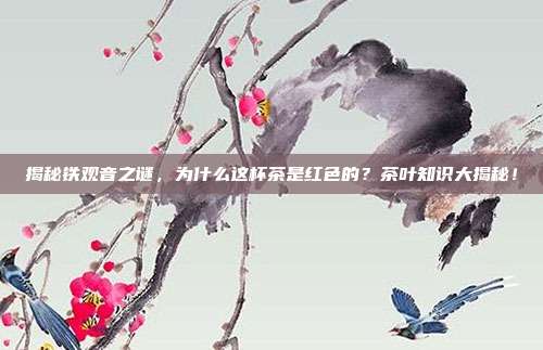 揭秘铁观音之谜，为什么这杯茶是红色的？茶叶知识大揭秘！